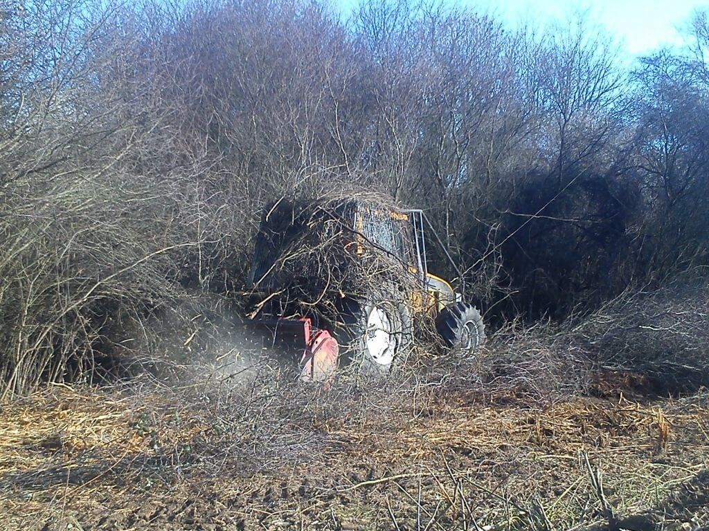 Débroussaillage-5.jpg