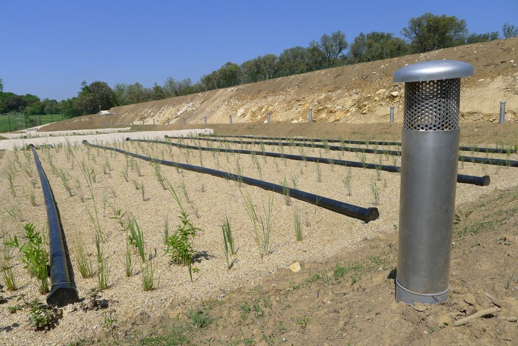 Les filtres plantés, aussi performants en hiver - La phytoépuration en  détail