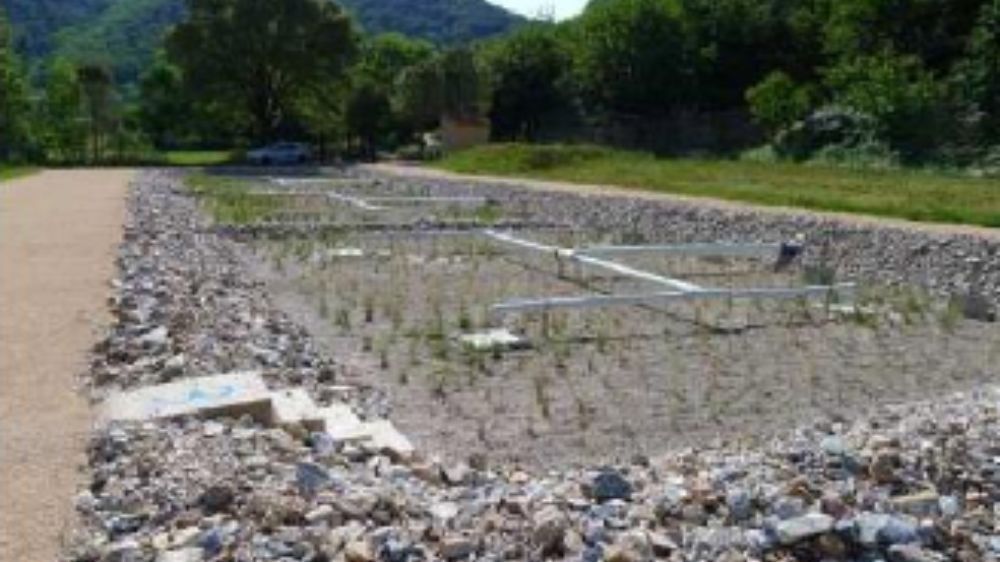Station d'épuration par filtres plantés de roseaux, commune d'Avène (3).jpg