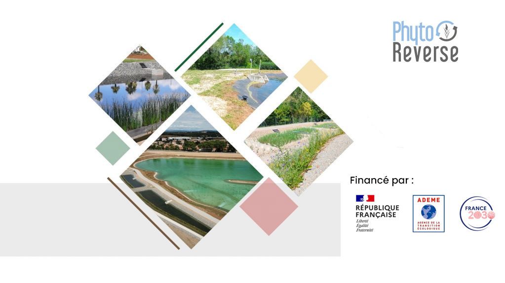 france2030-phytoreverse.jpg